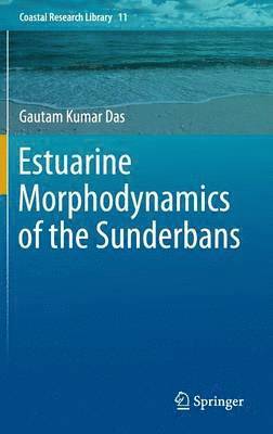 bokomslag Estuarine Morphodynamics of the Sunderbans