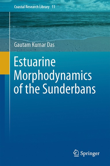 bokomslag Estuarine Morphodynamics of the Sunderbans