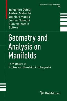 bokomslag Geometry and Analysis on Manifolds