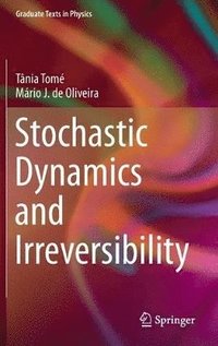 bokomslag Stochastic Dynamics and Irreversibility