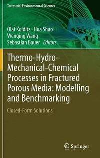 bokomslag Thermo-Hydro-Mechanical-Chemical Processes in Fractured Porous Media: Modelling and Benchmarking