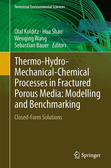 Olaf Kolditz, Hua Shao, Wenqing Wang, Sebastian Bauer - Thermo-Hydro-Mechanical-Chemical Processes in Fractured Porous Media: Modelling and Benchmarking, Inbunden