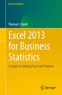 bokomslag Excel 2013 for Business Statistics