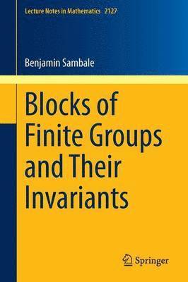 bokomslag Blocks of Finite Groups and Their Invariants