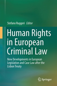 bokomslag Human Rights in European Criminal Law