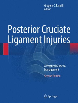 bokomslag Posterior Cruciate Ligament Injuries