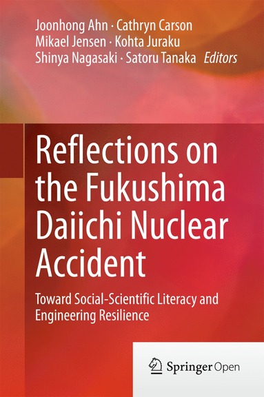 bokomslag Reflections on the Fukushima Daiichi Nuclear Accident