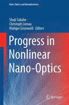 bokomslag Progress in Nonlinear Nano-Optics