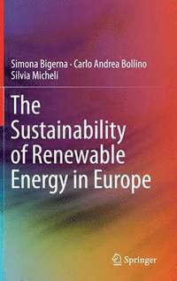 bokomslag The Sustainability of Renewable Energy in Europe
