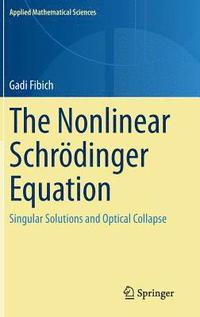 bokomslag The Nonlinear Schrdinger Equation