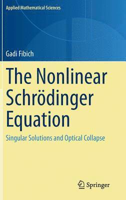 The Nonlinear Schrdinger Equation 1