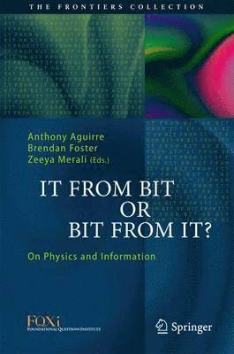 It From Bit or Bit From It?
