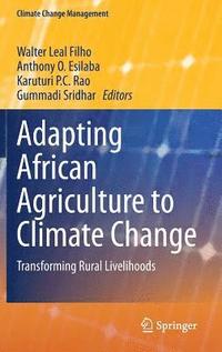 bokomslag Adapting African Agriculture to Climate Change