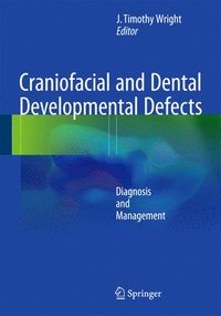 bokomslag Craniofacial and Dental Developmental Defects