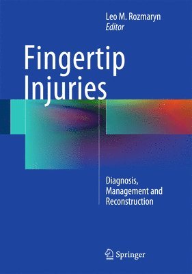 bokomslag Fingertip Injuries