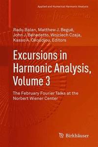 bokomslag Excursions in Harmonic Analysis, Volume 3