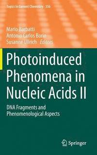 bokomslag Photoinduced Phenomena in Nucleic Acids II
