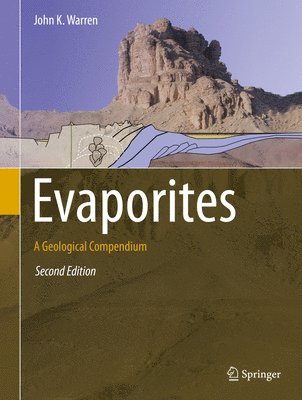bokomslag Evaporites
