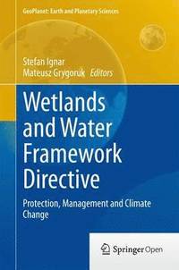 bokomslag Wetlands and Water Framework Directive