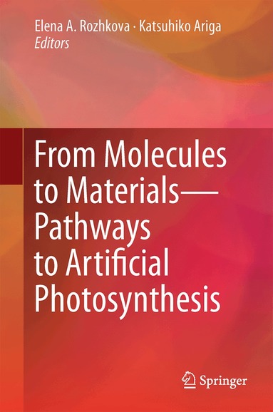 Elena A. Rozhkova, Katsuhiko Ariga - From Molecules to Materials, Inbunden