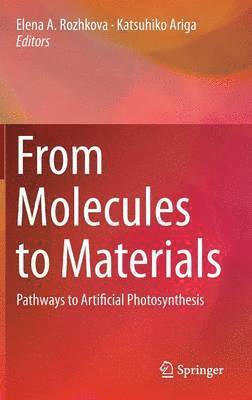 bokomslag From Molecules to Materials