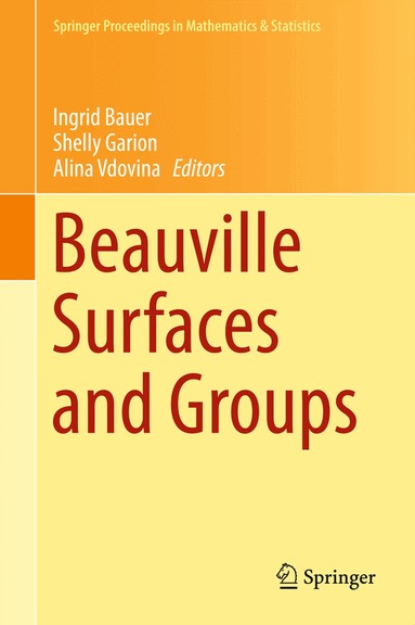 Ingrid Bauer, Shelly Garion, Alina Vdovina - Beauville Surfaces and Groups, Inbunden