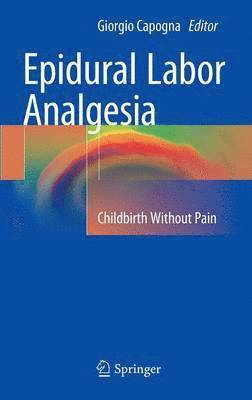 bokomslag Epidural Labor Analgesia