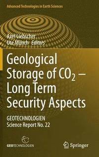 bokomslag Geological Storage of CO2  Long Term Security Aspects