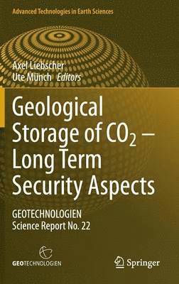 bokomslag Geological Storage of CO2  Long Term Security Aspects