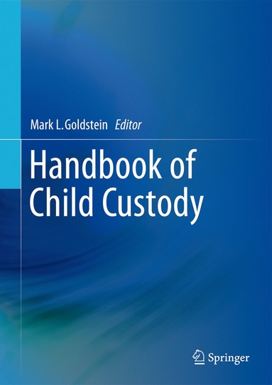 bokomslag Handbook of Child Custody