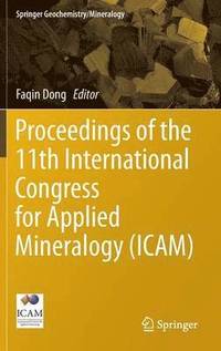 bokomslag Proceedings of the 11th International Congress for Applied Mineralogy (ICAM)