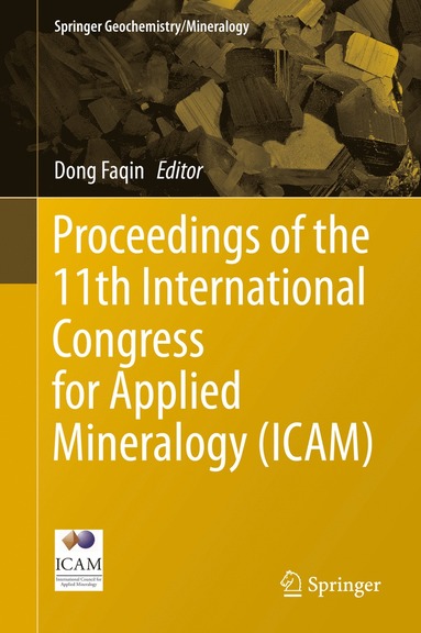 bokomslag Proceedings of the 11th International Congress for Applied Mineralogy (ICAM)