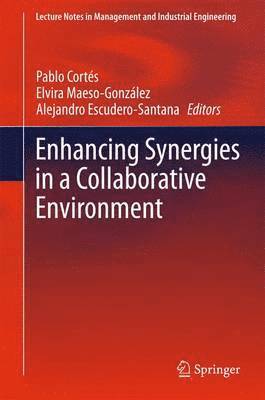 Pablo Cortés, Elvira Maeso-González, Alejandro Escudero-Santana - Enhancing Synergies in a Collaborative Environment, Inbunden