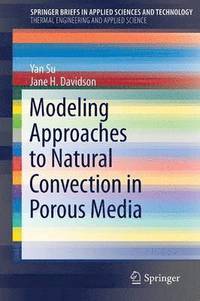 bokomslag Modeling Approaches to Natural Convection in Porous Media