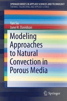 bokomslag Modeling Approaches to Natural Convection in Porous Media