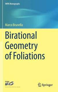 bokomslag Birational Geometry of Foliations