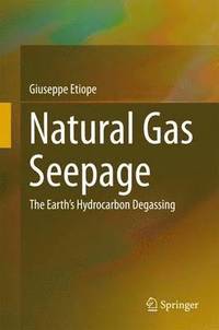 bokomslag Natural Gas Seepage