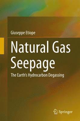 bokomslag Natural Gas Seepage