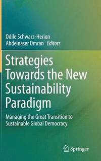 bokomslag Strategies Towards the New Sustainability Paradigm