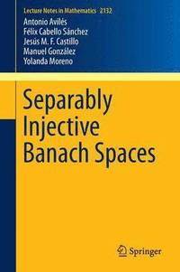 bokomslag Separably Injective Banach Spaces