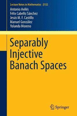 bokomslag Separably Injective Banach Spaces
