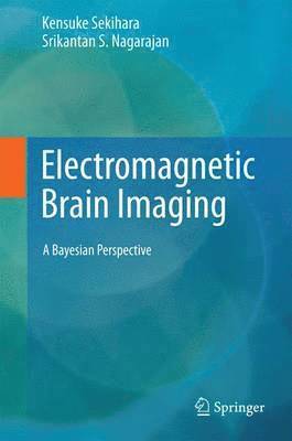 bokomslag Electromagnetic Brain Imaging