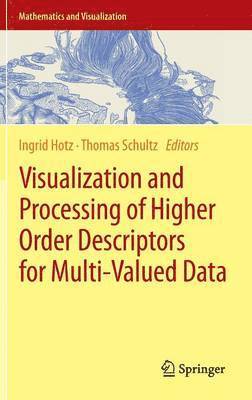 Visualization and Processing of Higher Order Descriptors for Multi-Valued Data 1