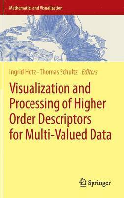 Ingrid Hotz, Thomas Schultz - Visualization and Processing of Higher Order Descriptors for Multi-Valued Data, Inbunden