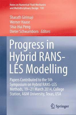 bokomslag Progress in Hybrid RANS-LES Modelling