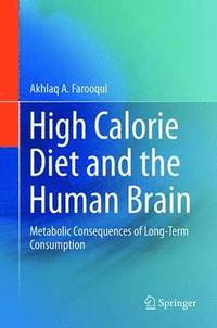 bokomslag High Calorie Diet and the Human Brain