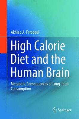 bokomslag High Calorie Diet and the Human Brain