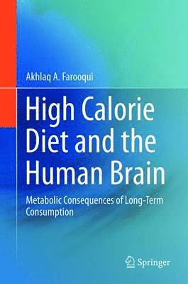 High Calorie Diet and the Human Brain 1