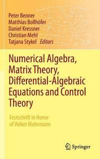 bokomslag Numerical Algebra, Matrix Theory, Differential-Algebraic Equations and Control Theory