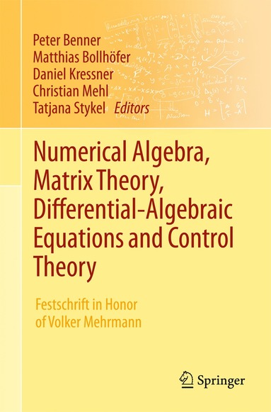 bokomslag Numerical Algebra, Matrix Theory, Differential-Algebraic Equations and Control Theory